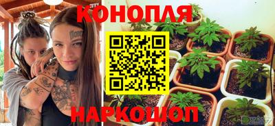 прущие грибы Бугуруслан