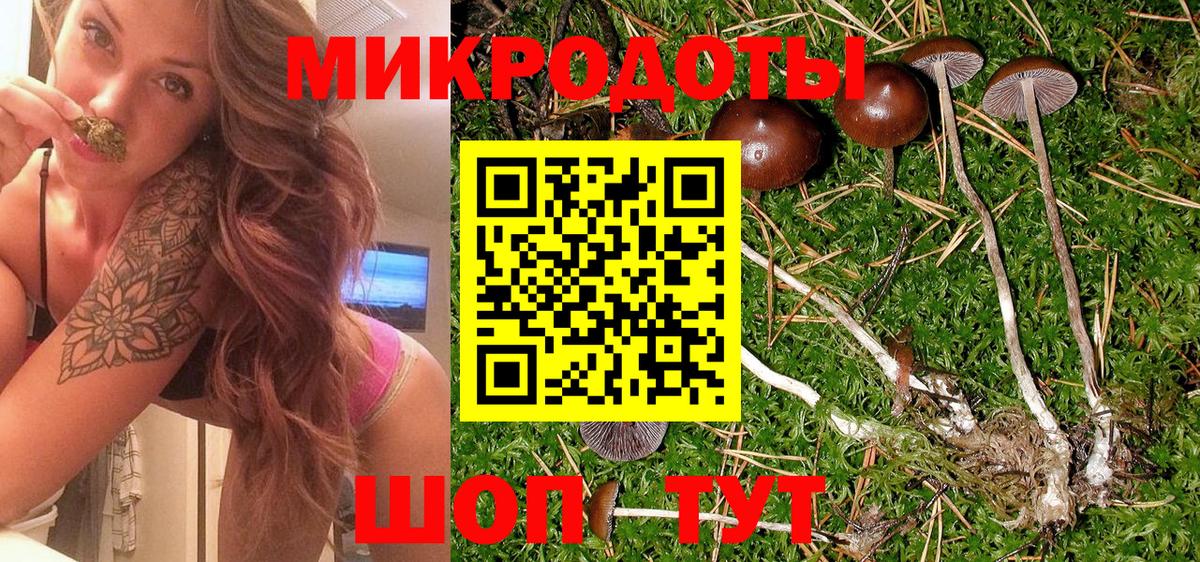 Челябинск  Галлюциногенные грибы Psilocybe  продажа наркотиков  Вход с VPN 